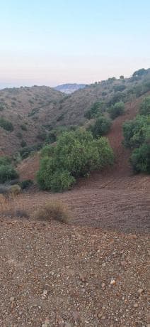Terreno en paraje de buenavista s/n sn photo 1