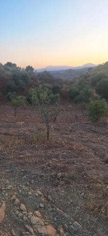 Terreno en paraje de buenavista s/n sn thumbnail 1