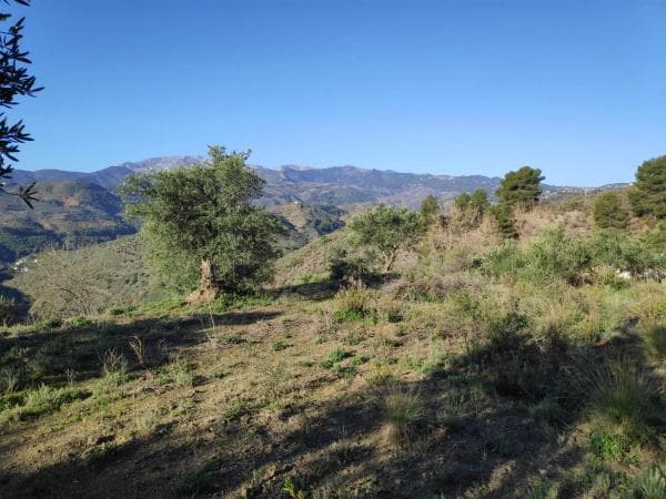 Terreno en camino Casa de los Majanales s/n thumbnail 2