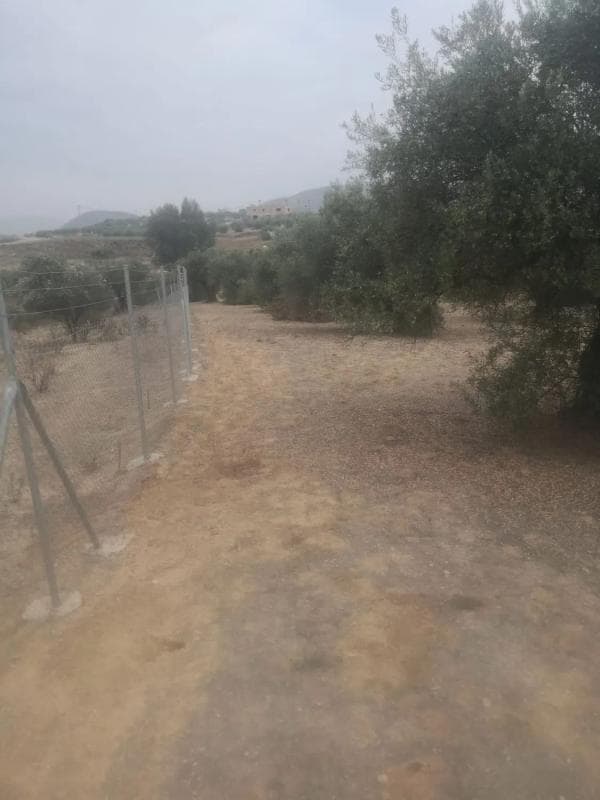 Terreno en venta en Alhaurín el Grande, Malaga photo 5