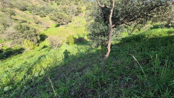 Terreno en Alora thumbnail 1