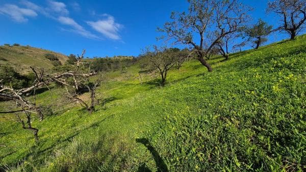 Terreno en Alora thumbnail 2