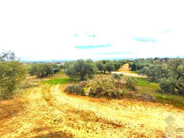 Terreno en Campillos photo 2