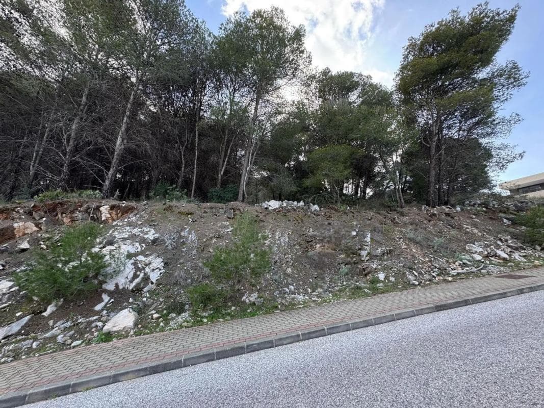 Terreno en venta en Alhaurín de la Torre, Malaga photo 3