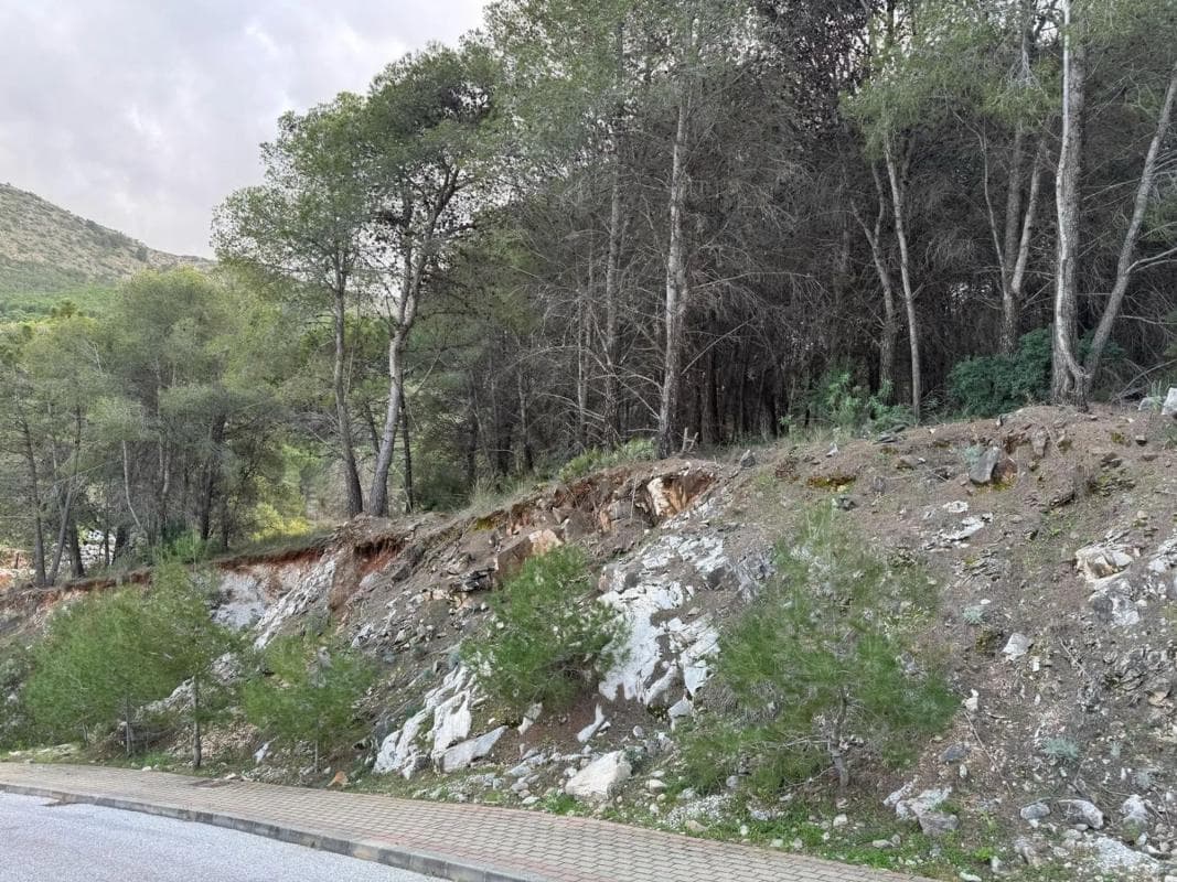 Terreno en venta en Alhaurín de la Torre, Malaga photo 4