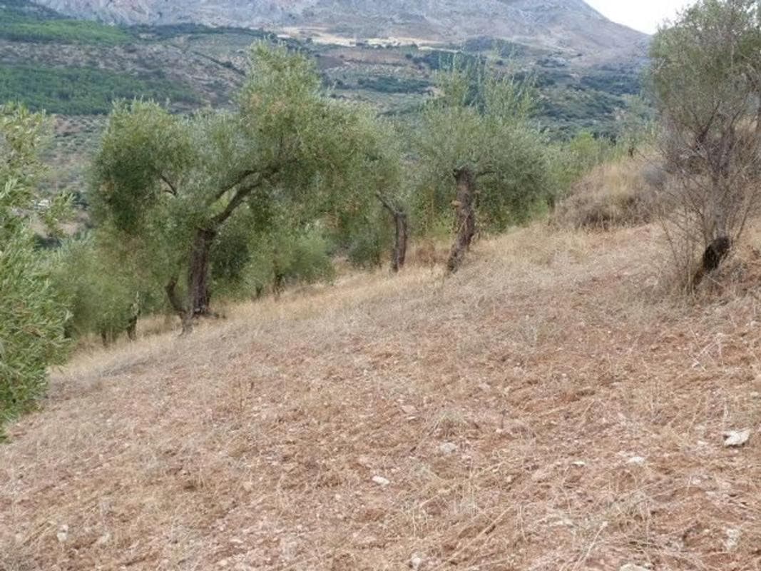 Terreno en venta en El Burgo, Malaga photo 2