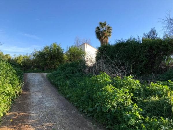 Terreno en Alora photo 1