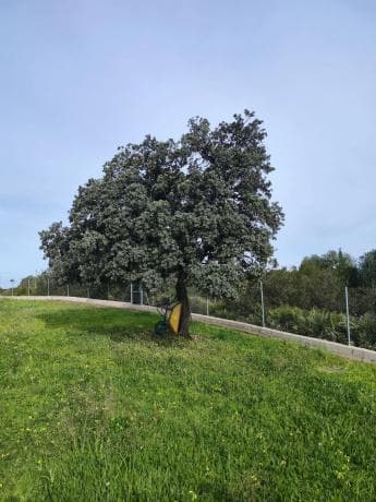 Terreno en camino del Tambor photo 1