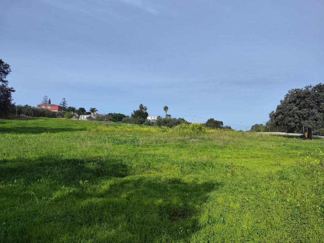 Terreno en venta en Alhaurín de la Torre, Malaga photo 2