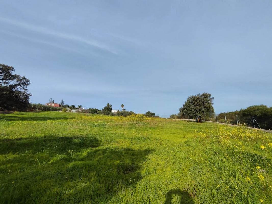 Terreno en venta en Alhaurín de la Torre, Malaga photo 3