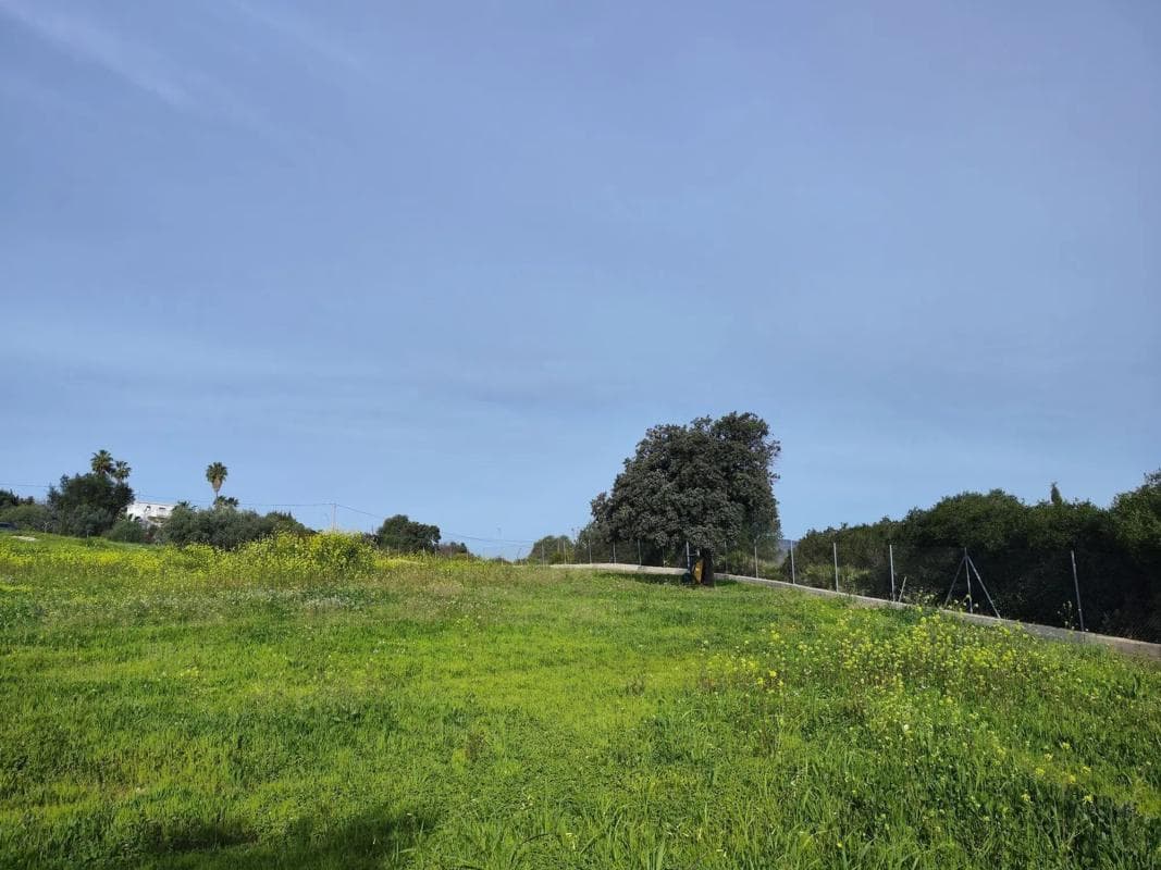 Terreno en venta en Alhaurín de la Torre, Malaga photo 4