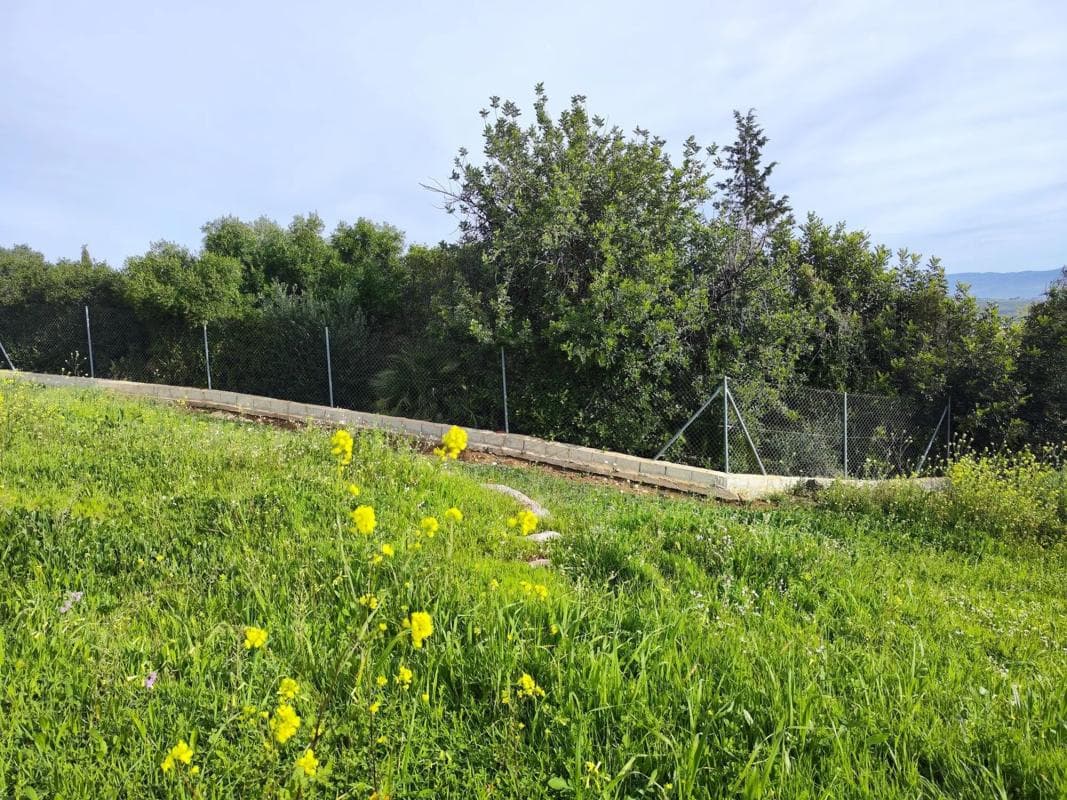 Terreno en venta en Alhaurín de la Torre, Malaga photo 5