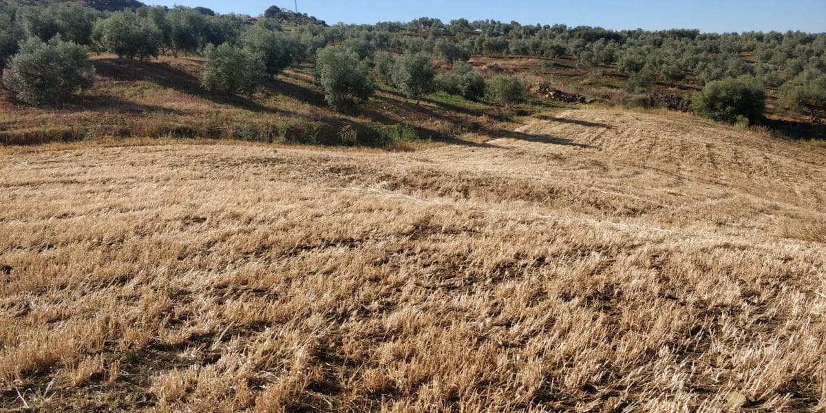 Terreno en venta en Villanueva de la Concepcion, Malaga photo 2