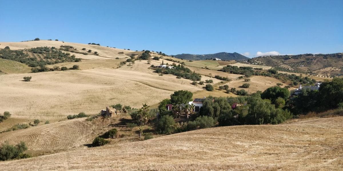 Terreno en venta en Villanueva de la Concepcion, Malaga photo 5
