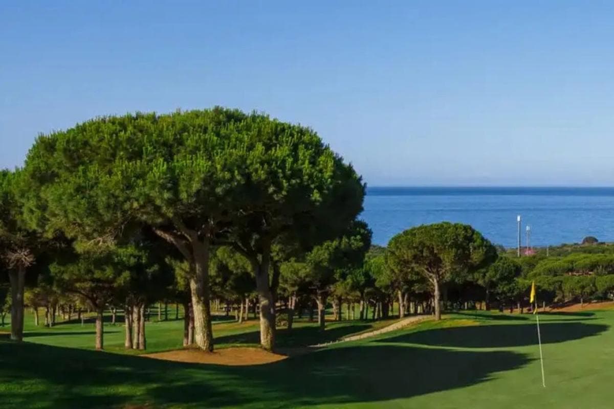 Terreno en venta en Marbella, Malaga photo 2