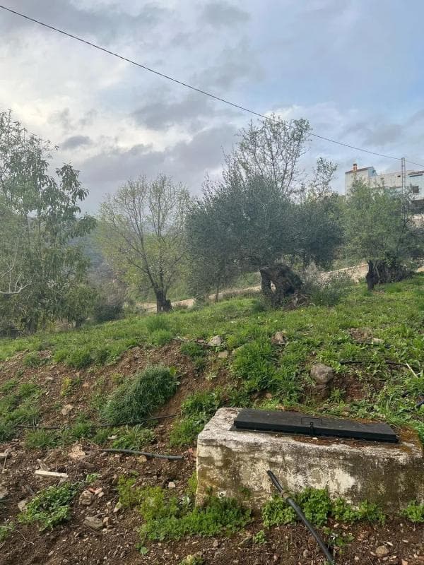 Terreno en venta en Juzcar, Malaga photo 3