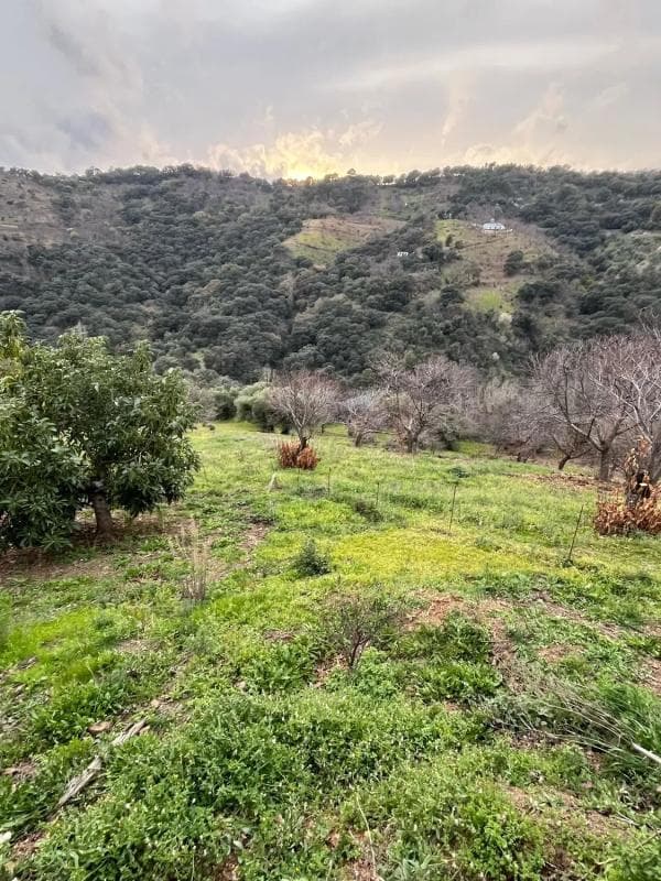 Terreno en venta en Juzcar, Malaga photo 4