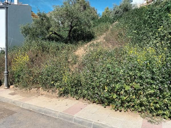 Terreno en calle Santa Argéntea, 706 thumbnail 2
