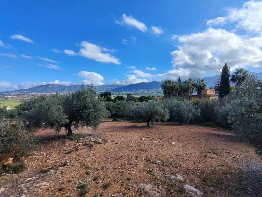 Terreno en venta en Alhaurín de la Torre, Malaga photo 3