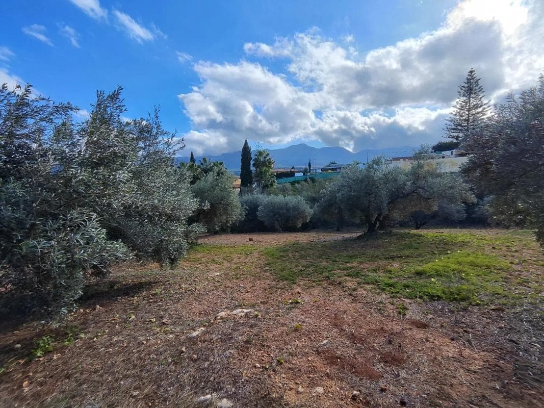 Terreno en venta en Alhaurín de la Torre, Malaga photo 5