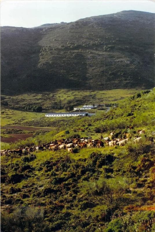 Terreno en venta en Ronda, Malaga photo 5