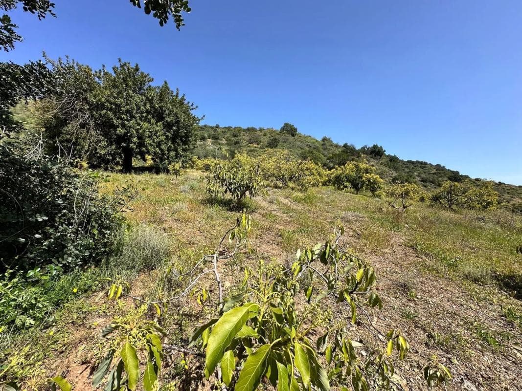 Terreno en venta en Tolox, Malaga photo 2
