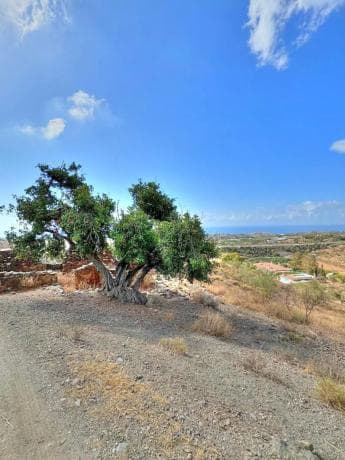 Terreno en Benajarafe photo 2