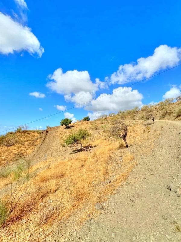Terreno en venta en Benajarafe, Malaga photo 3