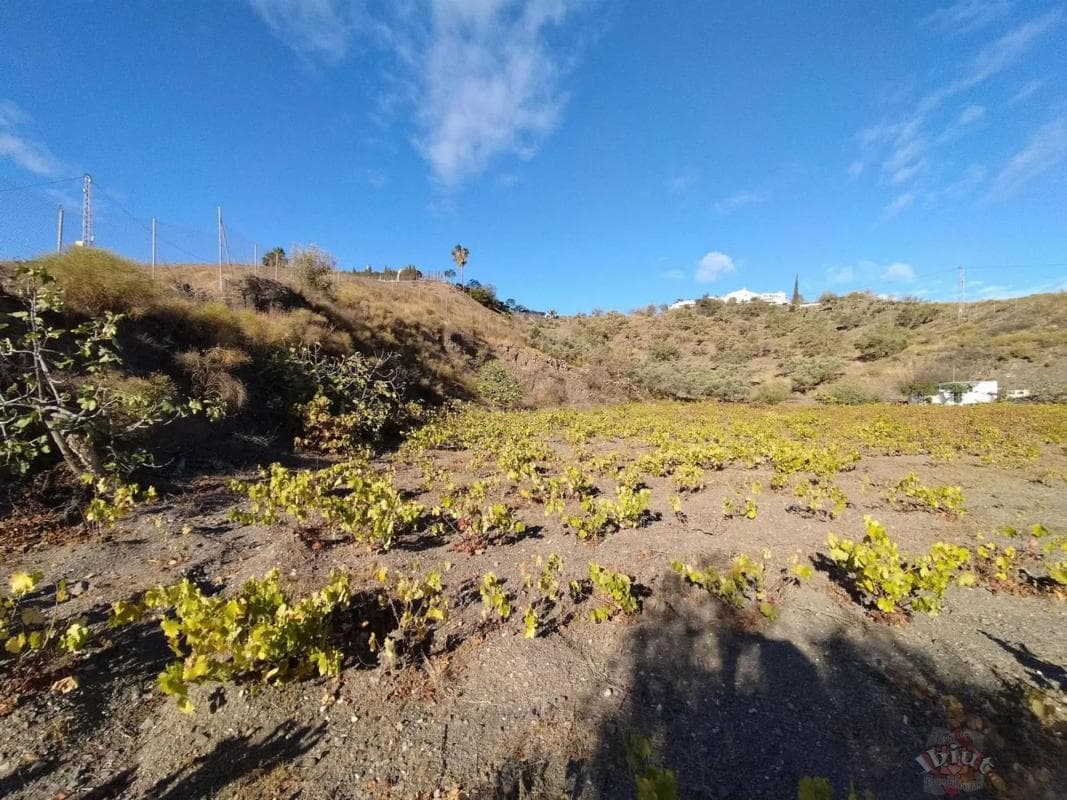 Terreno en venta en Algarrobo, Malaga photo 5