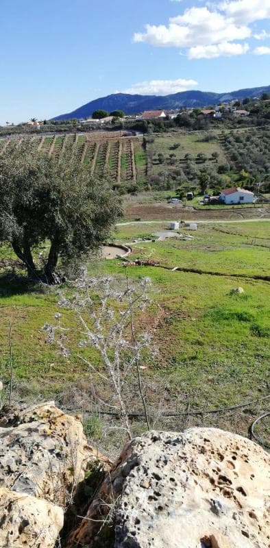 Terreno en venta en Alhaurín de la Torre, Malaga photo 2