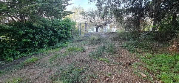 Terreno en Ardelejos - Cuesta de la Palma - Buenavista photo 1