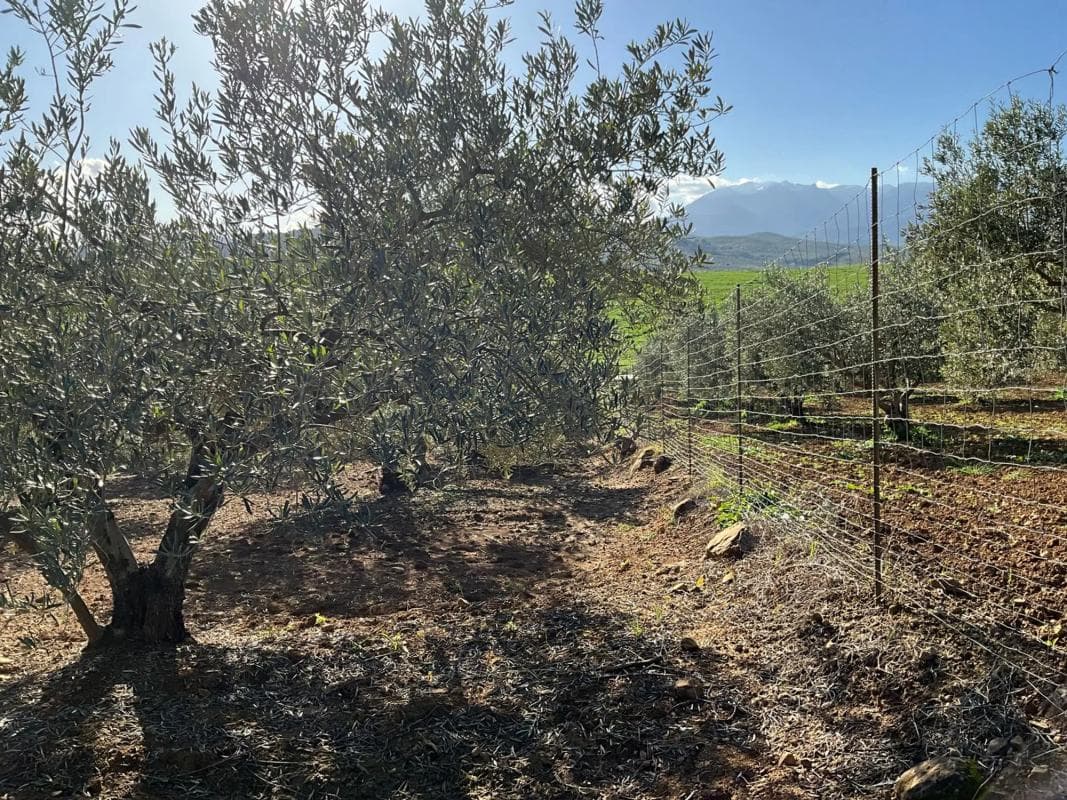 Terreno en venta en Coin, Malaga photo 5