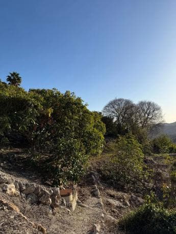 Terreno en Frigiliana photo 3