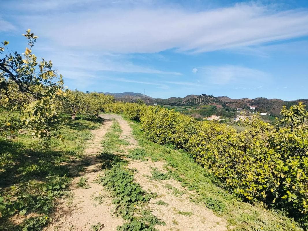 Terreno en venta en Cártama, Malaga photo 2