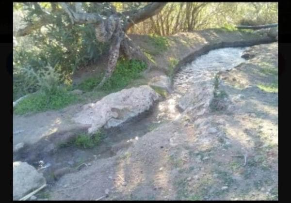 Terreno en Canillas de Aceituno photo 1