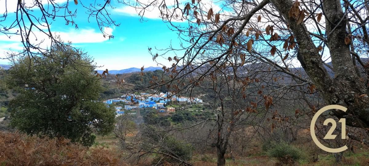 Terreno en venta en Juzcar, Malaga photo 5