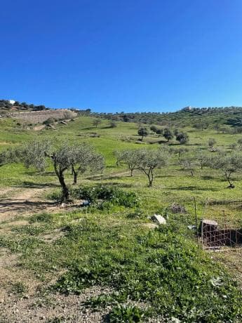 Terreno en Poligono photo 3