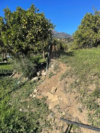 Terreno en Poligono photo 4