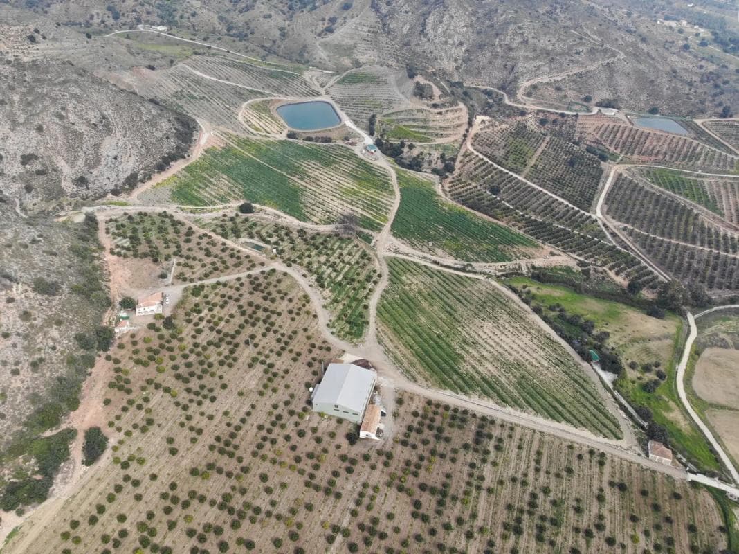 Terreno en venta en Alhaurín de la Torre, Malaga photo 2