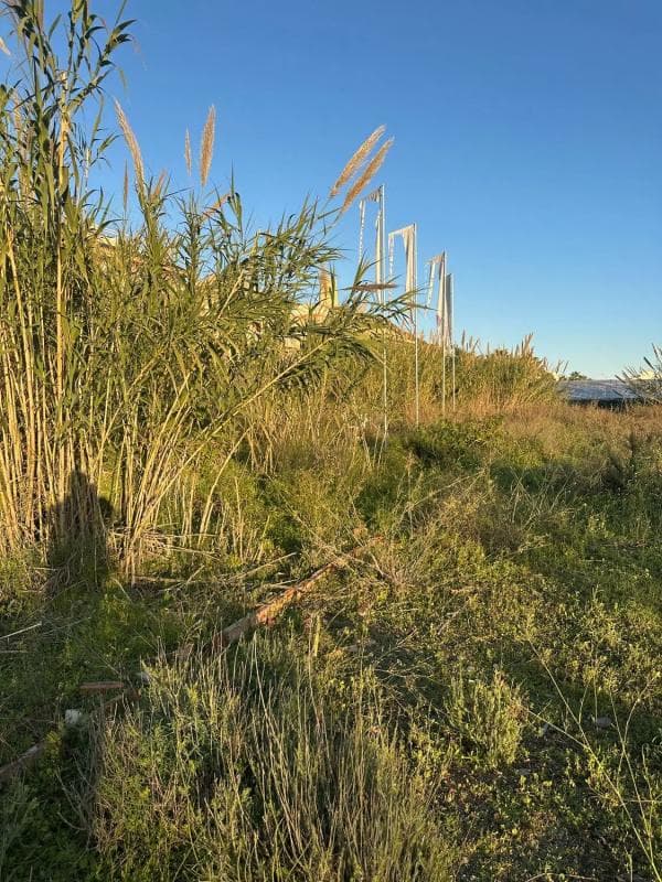 Terreno en venta en Torrox, Malaga photo 4
