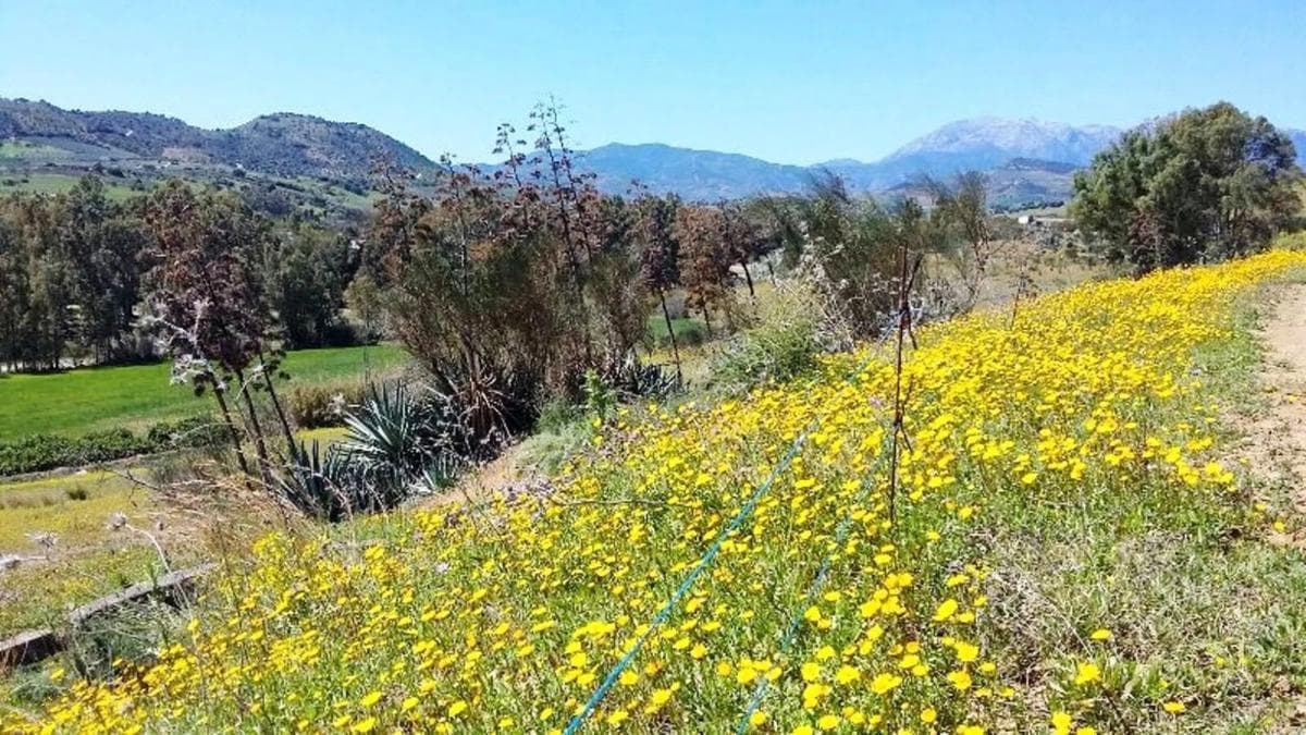 Terreno en venta en Coin, Malaga photo 5