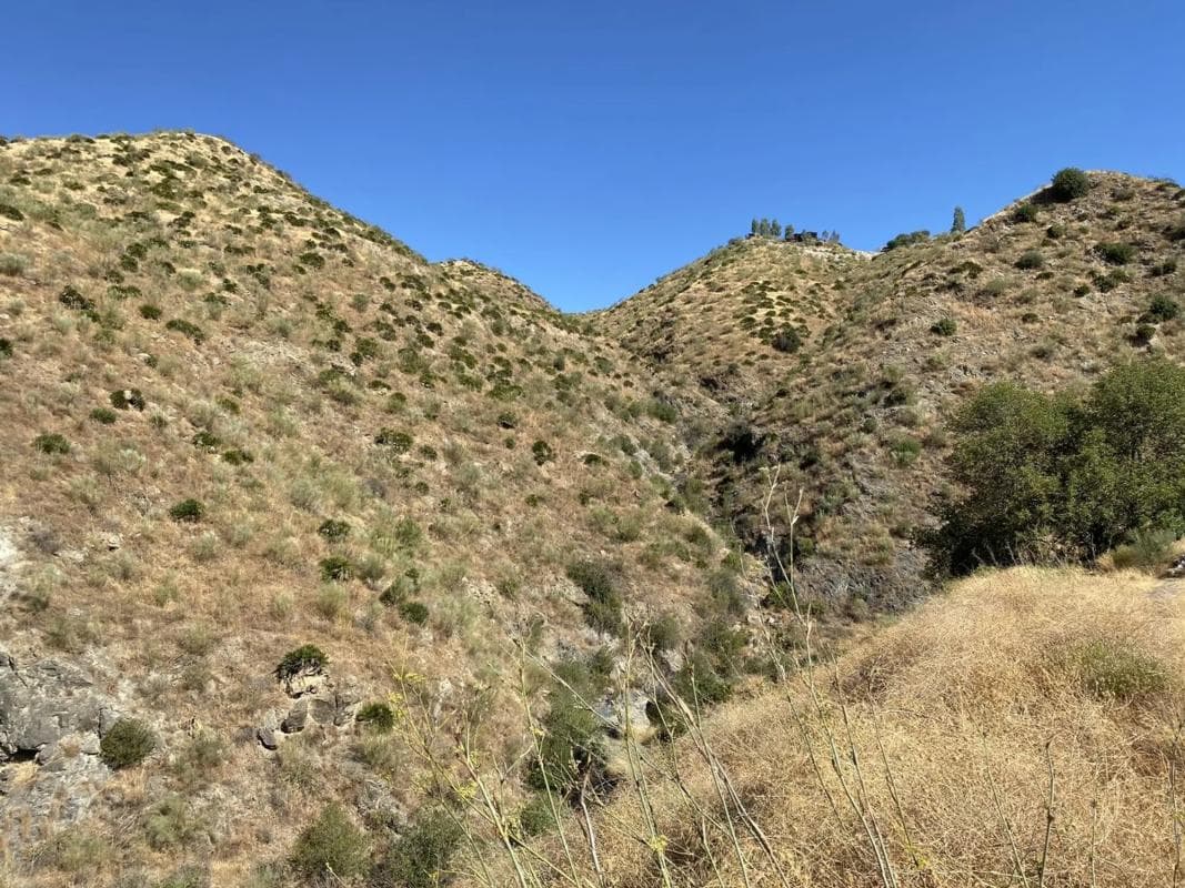 Terreno en venta en Pizarra, Malaga photo 5