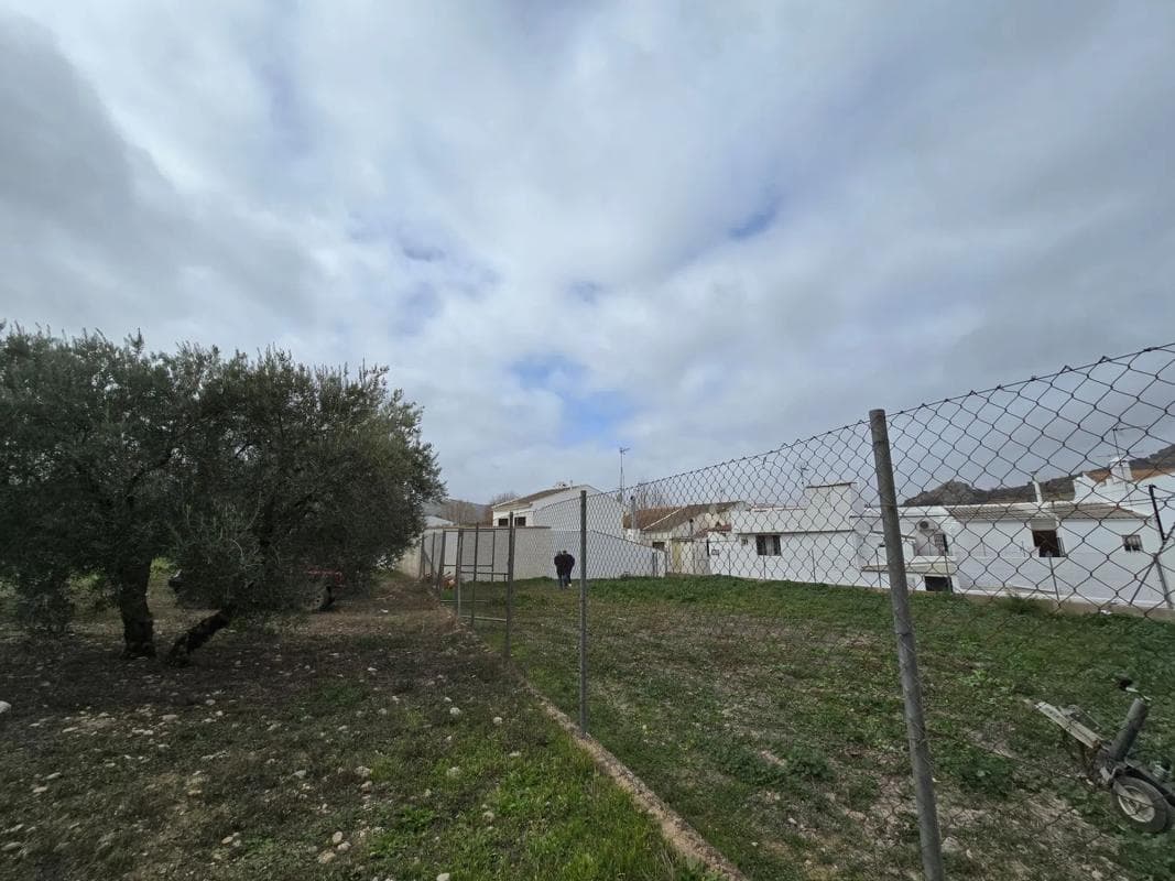 Terreno en venta en Cuevas del Becerro, Malaga photo 5