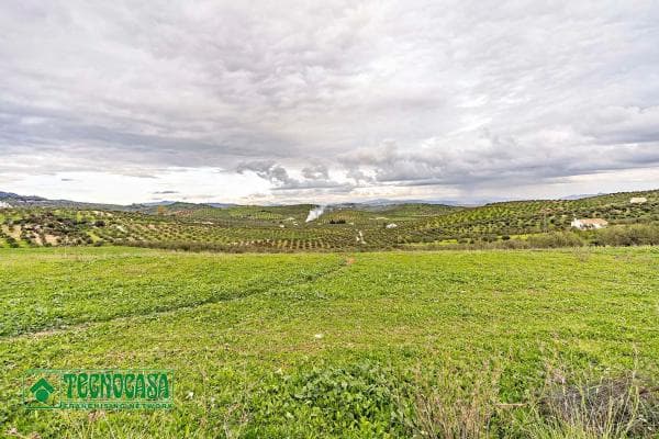 Terreno en alto de Guaro photo 1