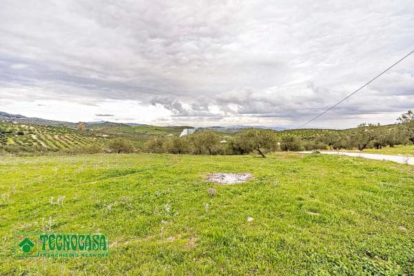 Terreno en alto de Guaro photo 2