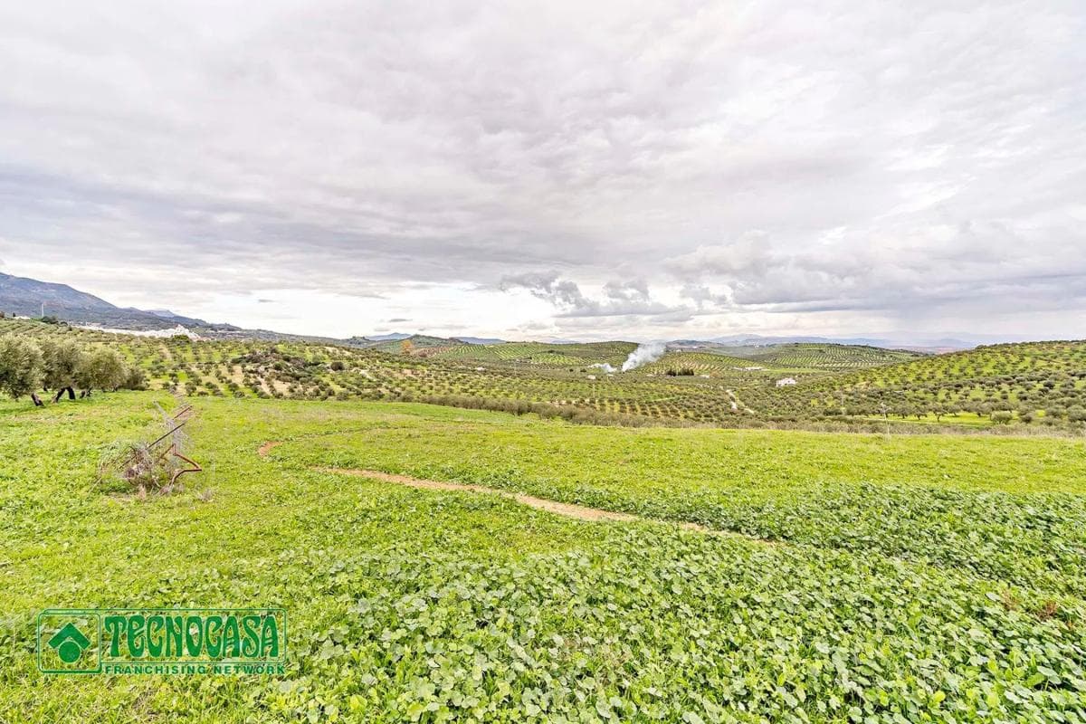 Terreno en venta en Alozaina, Malaga photo 4