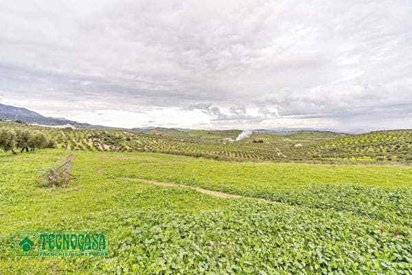 Terreno en alto de Guaro photo 4