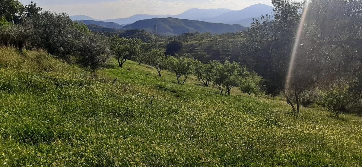 Terreno en venta en Alora, Malaga photo 3