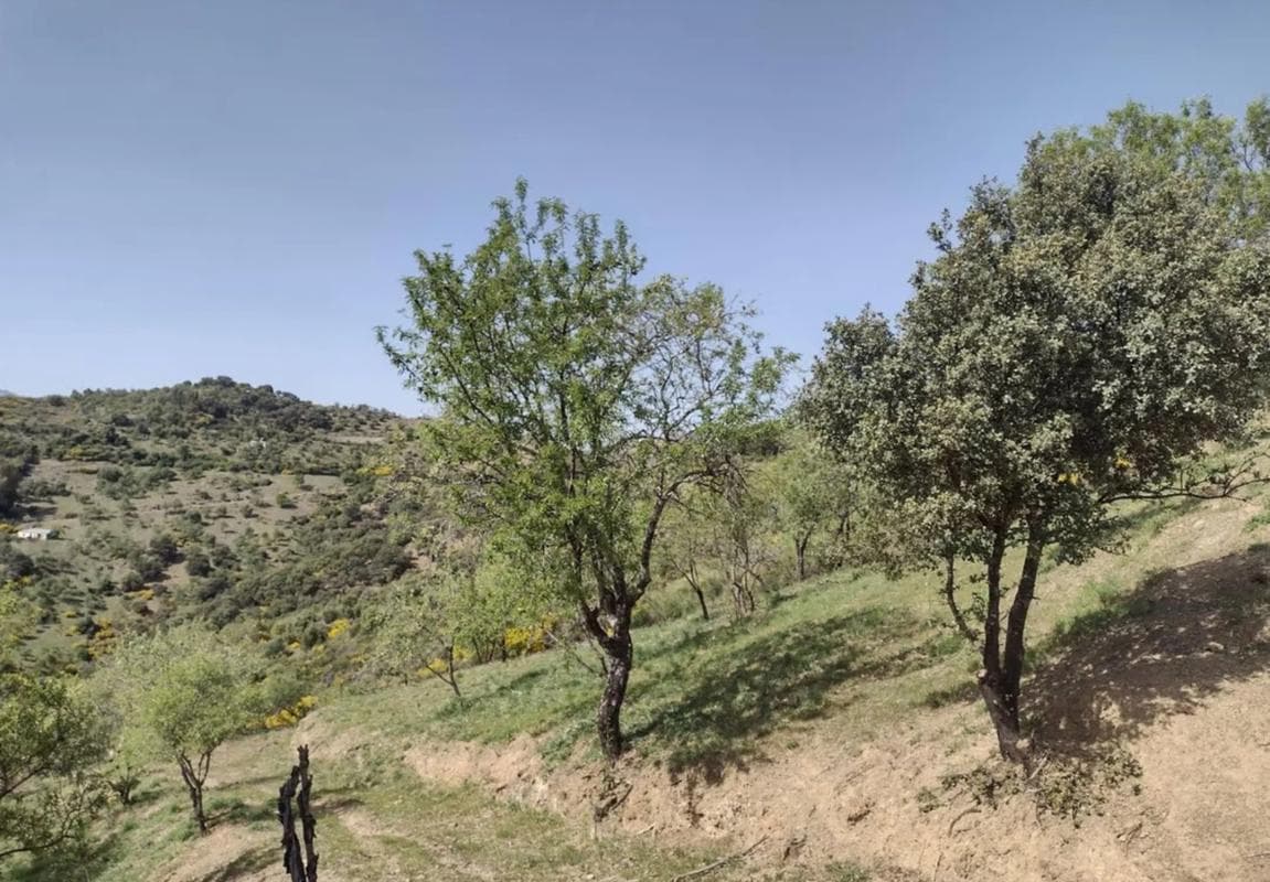 Terreno en venta en Benadalid, Malaga photo 2