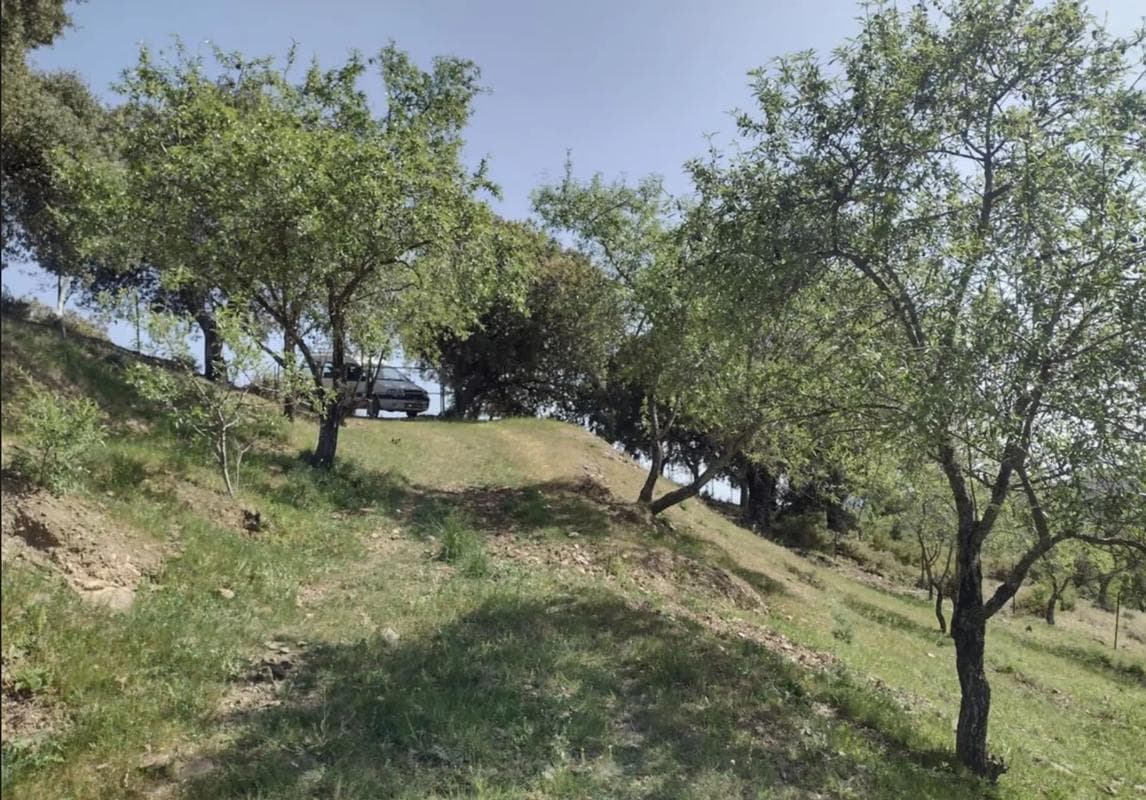 Terreno en venta en Benadalid, Malaga photo 3